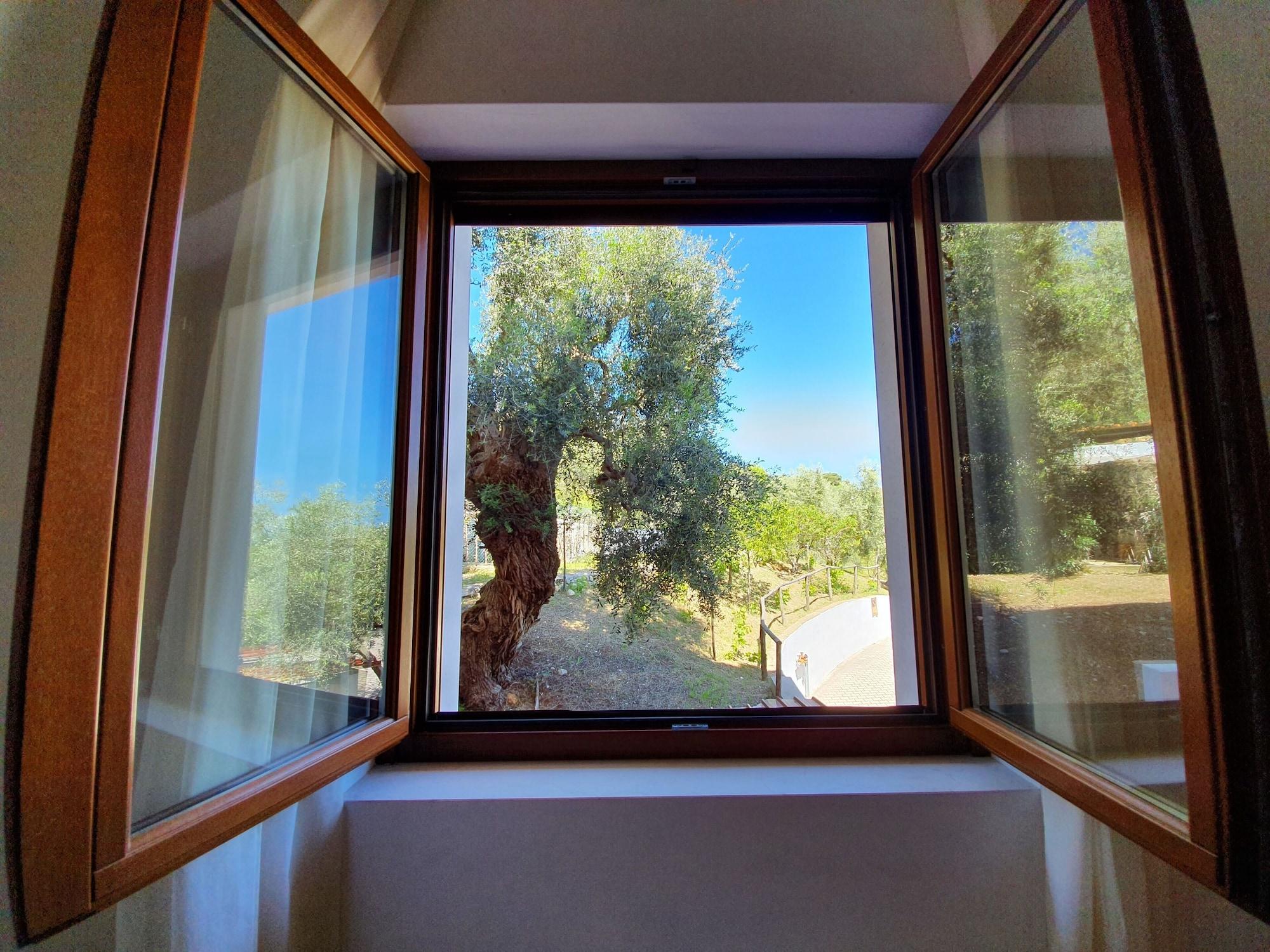 Hotel Delle More Vieste Eksteriør bilde